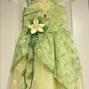 Beautiful Disney Princess Gown Tiana